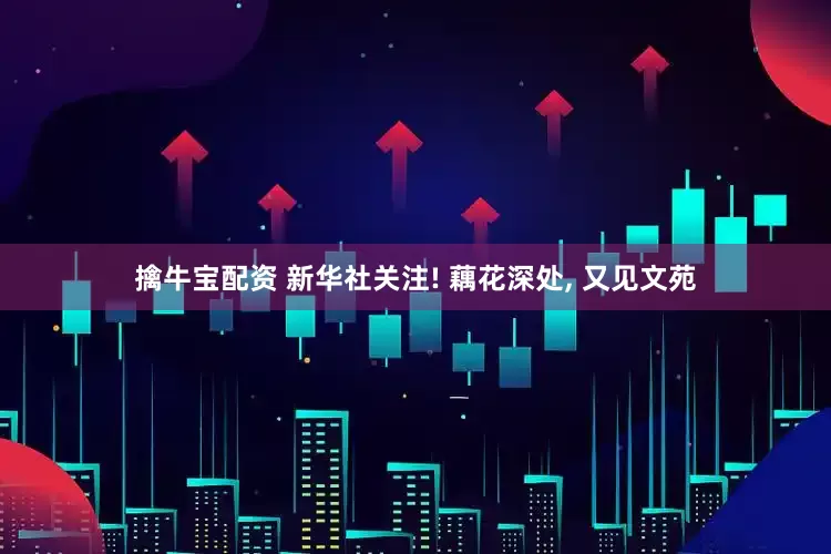 擒牛宝配资 新华社关注! 藕花深处, 又见文苑