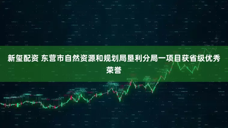 新玺配资 东营市自然资源和规划局垦利分局一项目获省级优秀荣誉